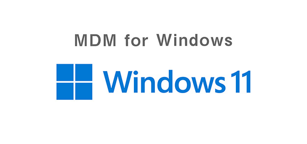 CLOMO MDM has rich functions for windows 11